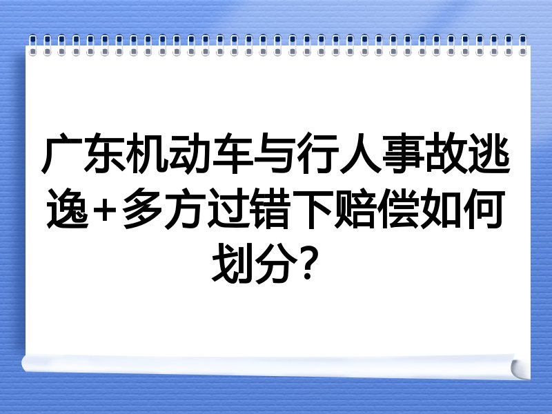广东机动车与行人事故逃逸+多方过错下赔偿如何划分？