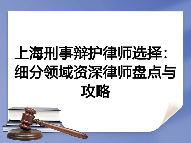 上海刑事辩护律师选择：细分领域资深律师盘点与攻略