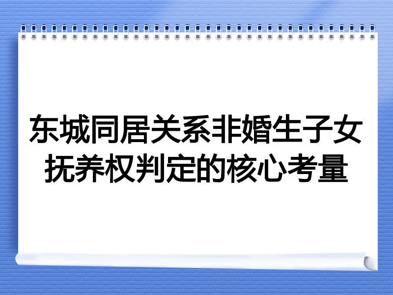 东城同居关系非婚生子女抚养权判定的核心考量