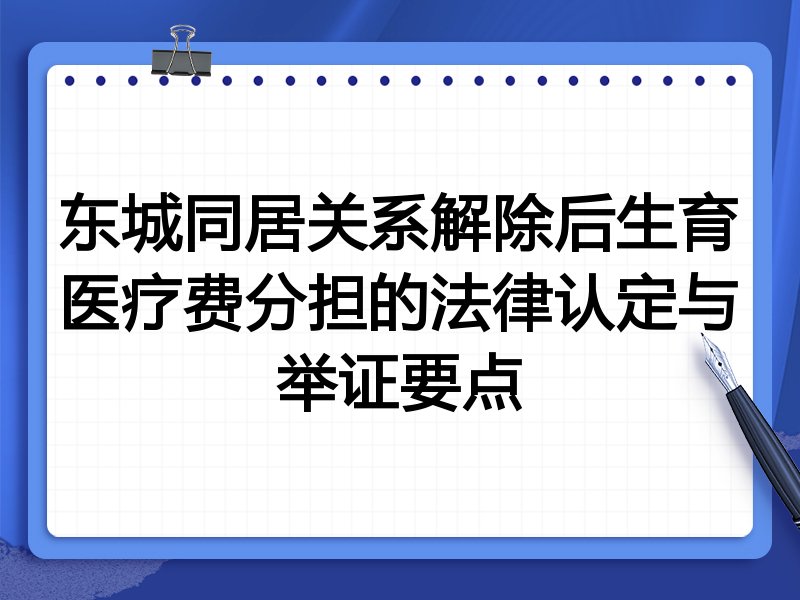 东城同居关系解除后生育医疗费分担的法律认定与举证要点