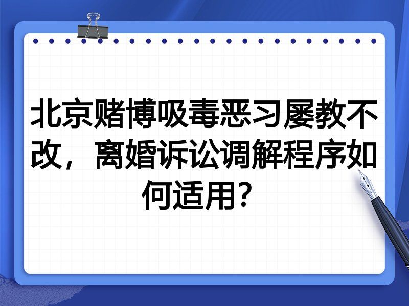 北京赌博吸毒恶习屡教不改,离婚诉讼调解程序如何适用?