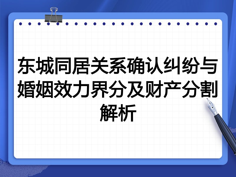 东城同居关系确认纠纷与婚姻效力界分及财产分割解析