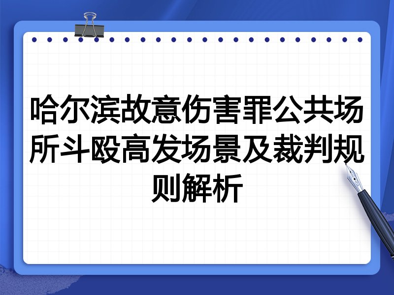 哈尔滨故意伤害罪公共场所斗殴高发场景及裁判规则解析