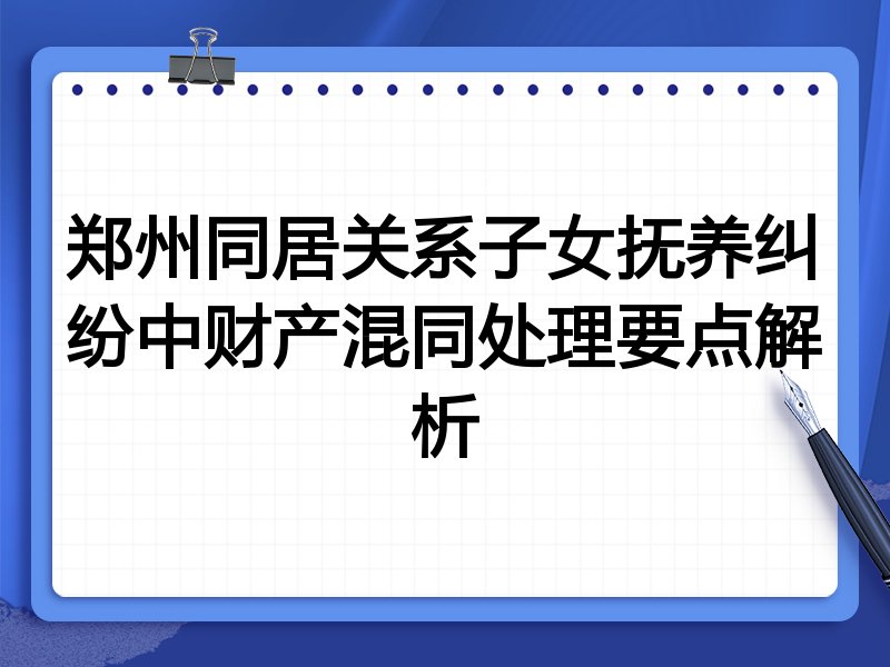 郑州同居关系子女抚养纠纷中财产混同处理要点解析