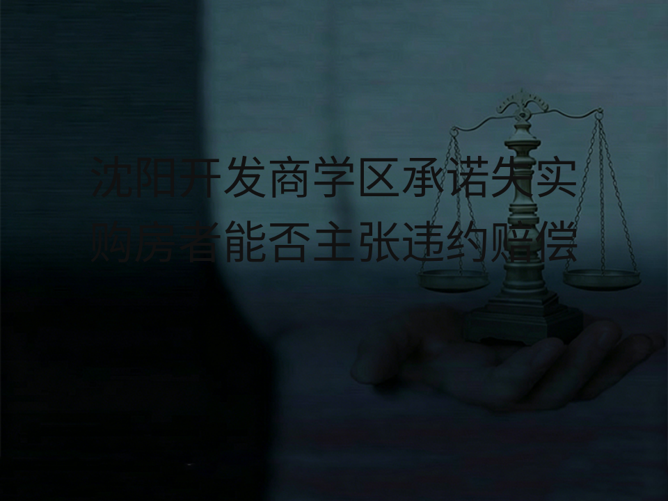 沈阳开发商学区承诺失实 购房者能否主张违约赔偿