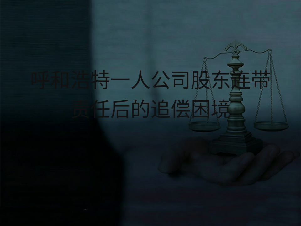 呼和浩特一人公司股东连带责任后的追偿困境