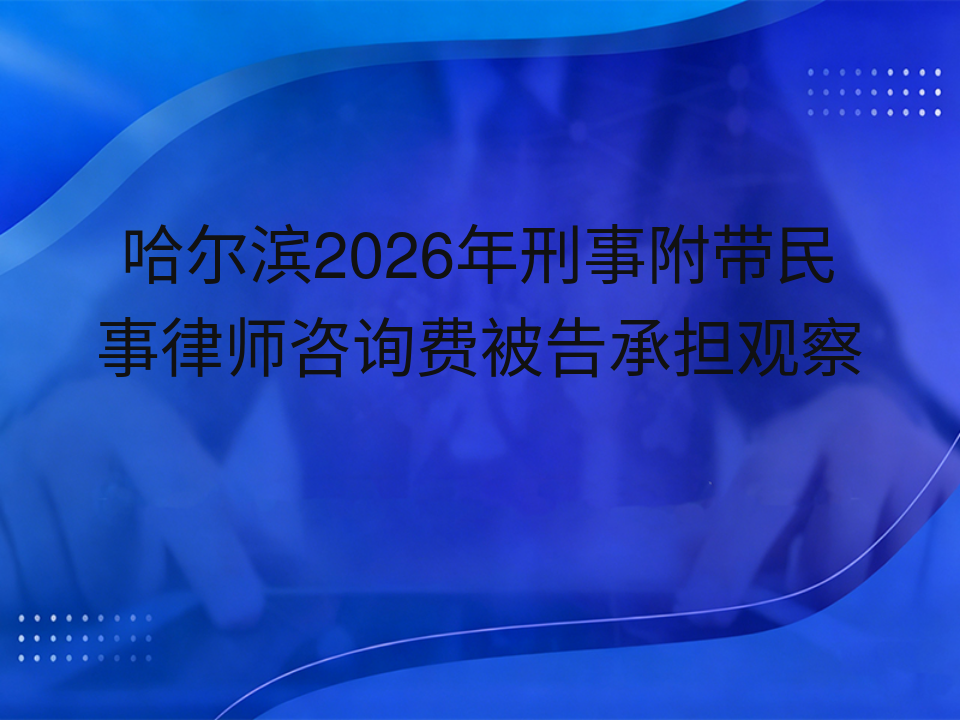 哈尔滨2026年刑事附带民事律师咨询费被告承担观察