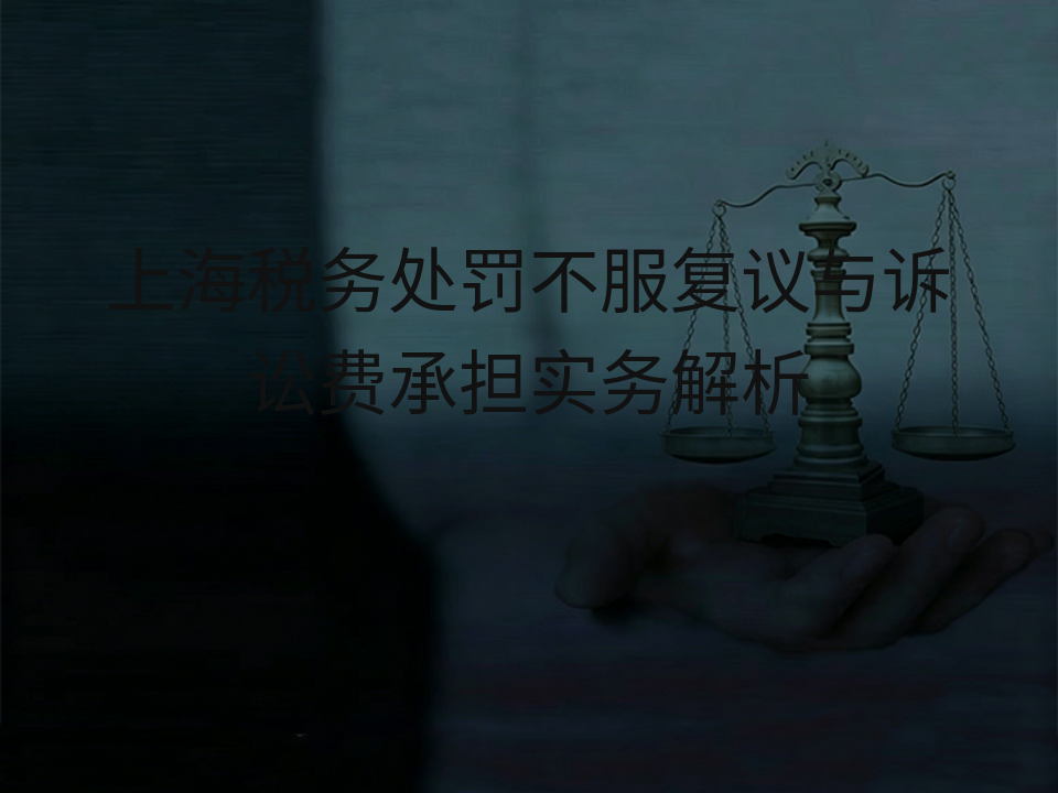 上海税务处罚不服复议与诉讼费承担实务解析