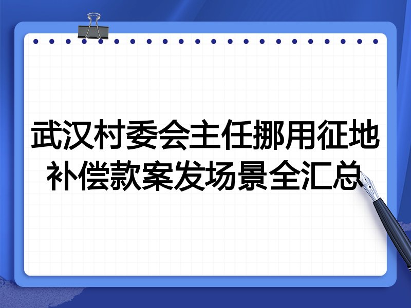 武汉村委会主任挪用征地补偿款案发场景全汇总