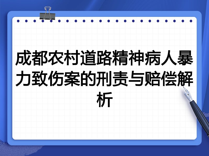成都农村道路精神病人暴力致伤案的刑责与赔偿解析